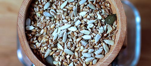 home 3 hawos lifestyle 2